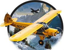 Load image into Gallery viewer, Airplane Themed Hoodie - This Could Make a Great Gift Idea