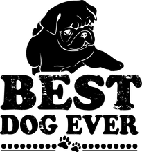 Load image into Gallery viewer, Best Dog Ever Hoodie - Best Gift Idea for Dog Lovers