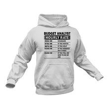Load image into Gallery viewer, Budget Analyst Funny Hoodie - Makes a Great Gift idea for a Friend's Birthday or Christmas