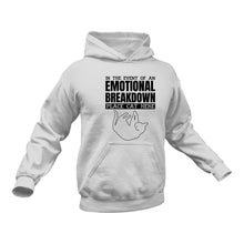 Load image into Gallery viewer, Gifts for Cat Lovers, Cat Gift, Cat Themed Gifts, Emotional Cat Hoodie