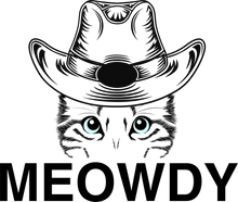 Load image into Gallery viewer, Meowdy Cowboy Cat Hoodie - Birthday Gift Idea or Christmas Present