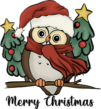 Load image into Gallery viewer, Christmas Owl Hoodie - Best Birthday Gift or Christmas Present