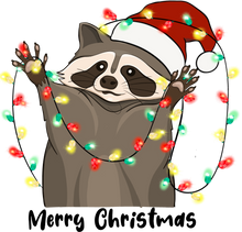 Load image into Gallery viewer, Christmas Raccoon Hoodie Best Birthday Gift or Christmas Present