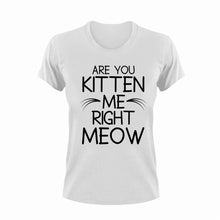 Load image into Gallery viewer, Are You Kitten Me Right Meow Cat T-Shirtcat, funny, kitten, Ladies, Mens, pets, Unisex