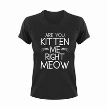 Load image into Gallery viewer, Are You Kitten Me Right Meow Cat T-Shirtcat, funny, kitten, Ladies, Mens, pets, Unisex