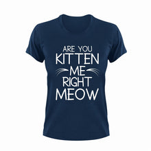 Load image into Gallery viewer, Are You Kitten Me Right Meow Cat T-Shirtcat, funny, kitten, Ladies, Mens, pets, Unisex