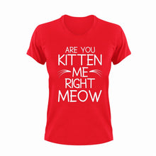 Load image into Gallery viewer, Are You Kitten Me Right Meow Cat T-Shirtcat, funny, kitten, Ladies, Mens, pets, Unisex