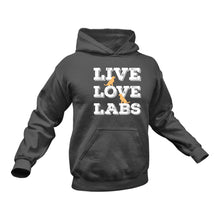 Load image into Gallery viewer, Live Love Labrador Dogs Hoodie - Birthday Gift Idea or Christmas Present