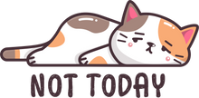Load image into Gallery viewer, Not Today Cat Hoodie - Best Birthday Gift or Christmas Present
