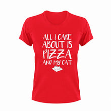 Load image into Gallery viewer, All I Care About Is Pizza And My Cat Funny T-Shirtanimal, animals, cat, funny, Ladies, Mens, pets, pizza, Unisex