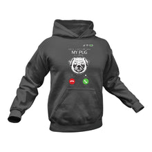 Load image into Gallery viewer, Pug Hoodie - Ideal Birthday Gift Idea or Christmas Present
