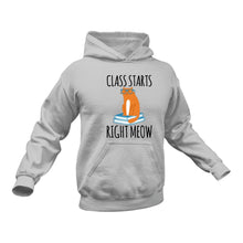 Load image into Gallery viewer, Cat Teacher Hoodie - Best Teacher's Day Gift Idea