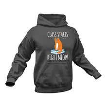 Load image into Gallery viewer, Cat Teacher Hoodie - Best Teacher's Day Gift Idea