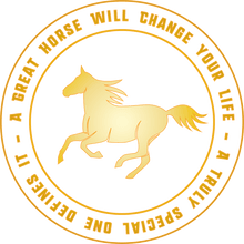 Load image into Gallery viewer, South Africas Biggest online T-shirt store