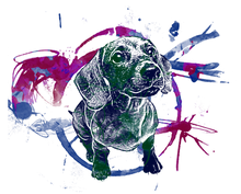 Load image into Gallery viewer, Black painted Dachshund T-Shirtdog, Ladies, Mens, painted, picture, Unisex