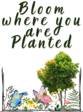 Load image into Gallery viewer, Bloom Where You Are Planted T-Shirtdyzynu, Ladies, Mens, Unisex