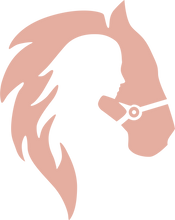 Load image into Gallery viewer, Horse Head T-shirtgirl, horse, Ladies, Mens, neice, sister, Unisex