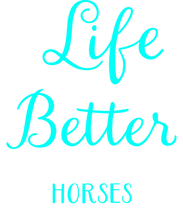 Load image into Gallery viewer, Life is better with horses Hoodie