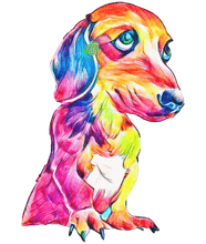 Load image into Gallery viewer, Multicolor Dachshund T-Shirtanimals, dog, Ladies, Mens, pets, Unisex