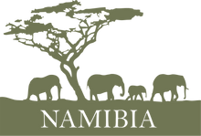 Load image into Gallery viewer, Namibia T-shirt printed in Oliveafrica, animals, dad, elephants, horse, Ladies, Mens, namibia, pets, tree, Unisex