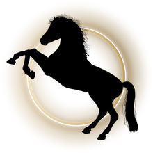 Load image into Gallery viewer, Silhouette Horse Spotlight Kids T-Shirtboy, dog, dyzynu, girl, kids, neice, nephew