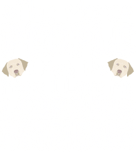 Load image into Gallery viewer, The More People I Meet The More I Love My Labrador T-Shirtanimals, dog, Ladies, Mens, Unisex