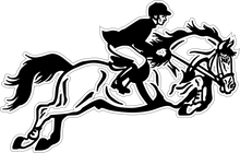 Load image into Gallery viewer, Showjumper T-shirtanimals, aunt, dad, girl, horse, kids, Ladies, Mens, mom, neice, Unisex