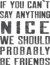 Load image into Gallery viewer, if you can't say anything nice we should be friends Tshirt in Black