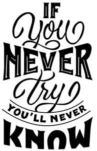 If you never try you'll never know Tshirt
