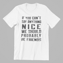Load image into Gallery viewer, if you can't say anything nice we should be friends Tshirt in Black