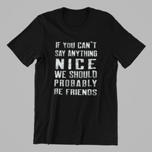 Load image into Gallery viewer, if you can't say anything nice we should be friends Tshirt in Black