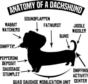 Dachshund Cotton Hoodies, This Makes a Great Gift Idea