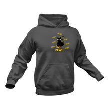 Load image into Gallery viewer, Gaming Cat Hoodie - Ideal Gift For a Birthday or Christmas
