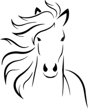 Load image into Gallery viewer, Horse Outline Hoodie
