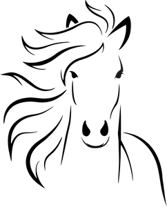 Horse Outline Hoodie