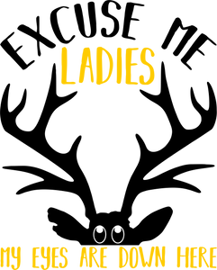 Excuse Me Ladies my Eyes are Down Here Hoodie