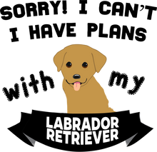 Load image into Gallery viewer, Labrador Hoodie - Ideal Birthday Gift Idea or Christmas Present
