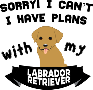 Labrador Hoodie - Ideal Birthday Gift Idea or Christmas Present