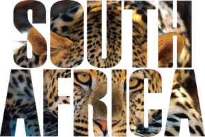 Animal Lover, Leopard Lover Hoodie - Best Birthday Gift or Christmas Present Idea