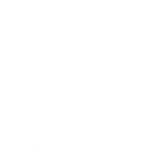 Live To Ride Unisex NavyT-Shirt Gift Idea 132