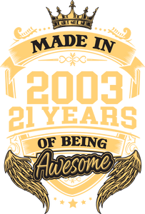 Made In 2003 21 Years Old Birthday Gift Idea T-Shirt