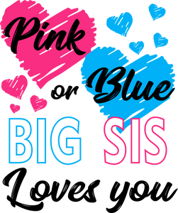 Pink or Blue Big Sis Loves You Hoodie - Gender Reveal
