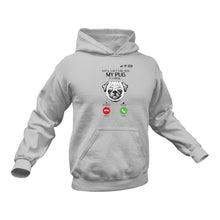 Load image into Gallery viewer, Pug Hoodie - Ideal Birthday Gift Idea or Christmas Present
