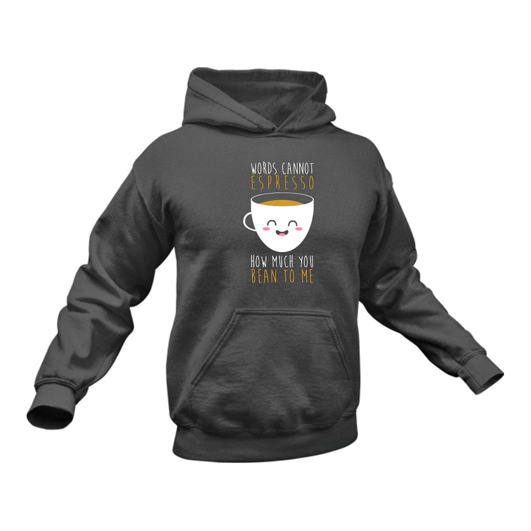 Words Cannot Espresso Coffee Hoodie - Birthday Gift or Christmas Present Idea