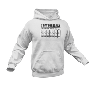 7 Day Forecast 100% Gains Gym Hoodie