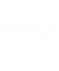 Adopt T-Shirt 1Adopt, animals, cat, dog, Ladies, Mens, pets, Unisex