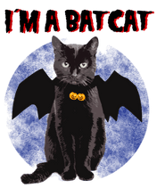Load image into Gallery viewer, I am a Bat Cat T-Shirtanimals, cat, Ladies, Mens, pets, Unisex
