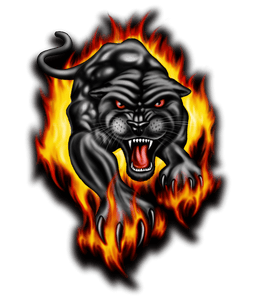 Black Panther In fire T-Shirtanimals, Ladies, Mens, Unisex