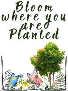 Bloom Where You Are Planted T-Shirtdyzynu, Ladies, Mens, Unisex