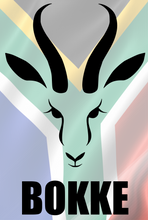 Load image into Gallery viewer, Bokke Afrikaans T-Shirtafrikaans, Bokke, Ladies, Mens, rugby, Unisex
